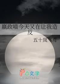 嬴政同人原创女主晋江