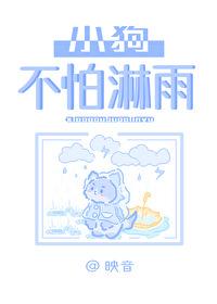 小狗淋雨会感冒么